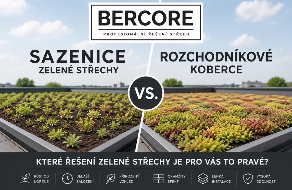 Sazenice vs. rozchodníkové koberce: Co vybrat pro založení zelené střechy?